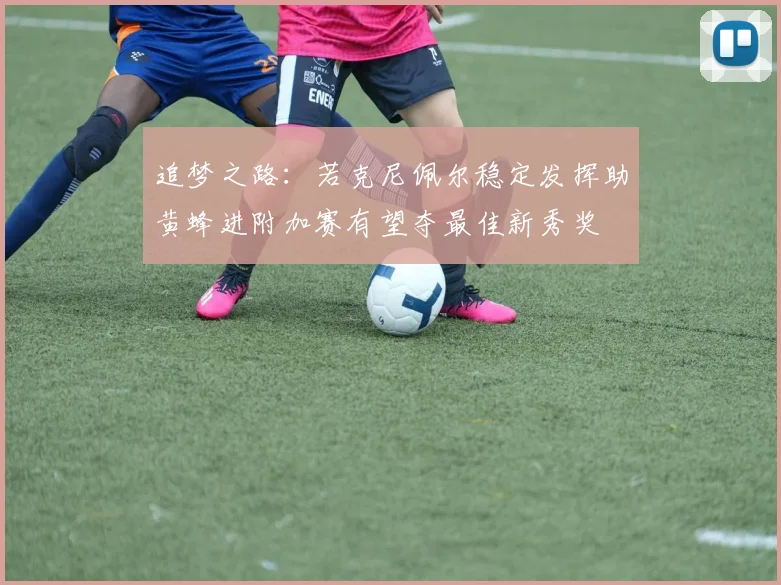 追梦之路：若克尼佩尔稳定发挥助黄蜂进附加赛有望夺最佳新秀奖