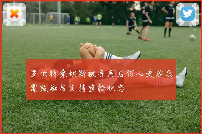 罗伯特桑切斯被弃用后信心受挫急需鼓励与支持重拾状态