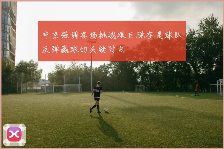申京强调客场挑战艰巨现在是球队反弹赢球的关键时刻