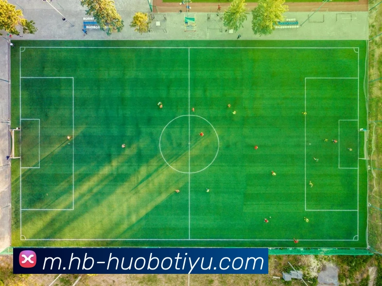 多媒体互动体验